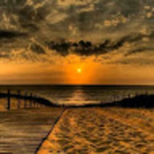 Meet your Posher, Maxine